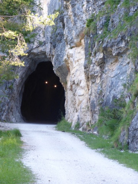 現在のサイクリングコースのトンネル