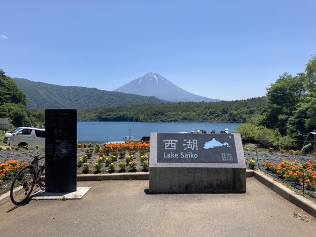 西湖から富士山を望む